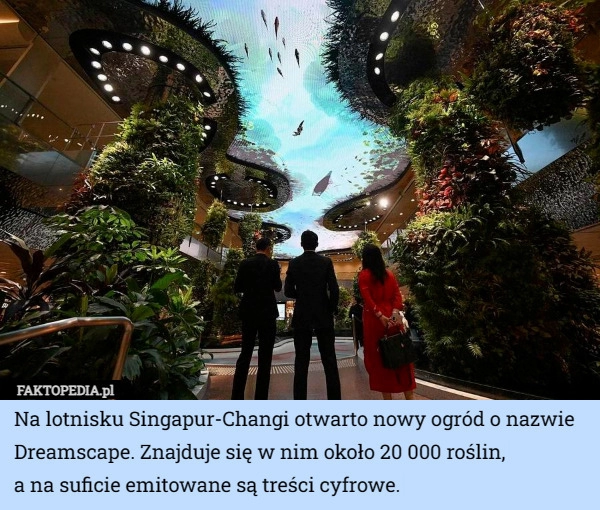 
    Na lotnisku Singapur-Changi otwarto nowy ogród o nazwie Dreamscape. Znajduje...