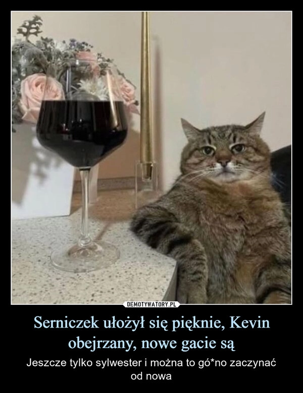 
    Serniczek ułożył się pięknie, Kevin obejrzany, nowe gacie są