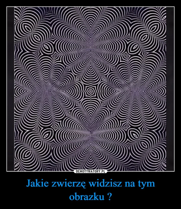 
    Jakie zwierzę widzisz na tym obrazku ?