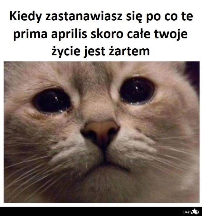 
    Totalnie bez sensu 