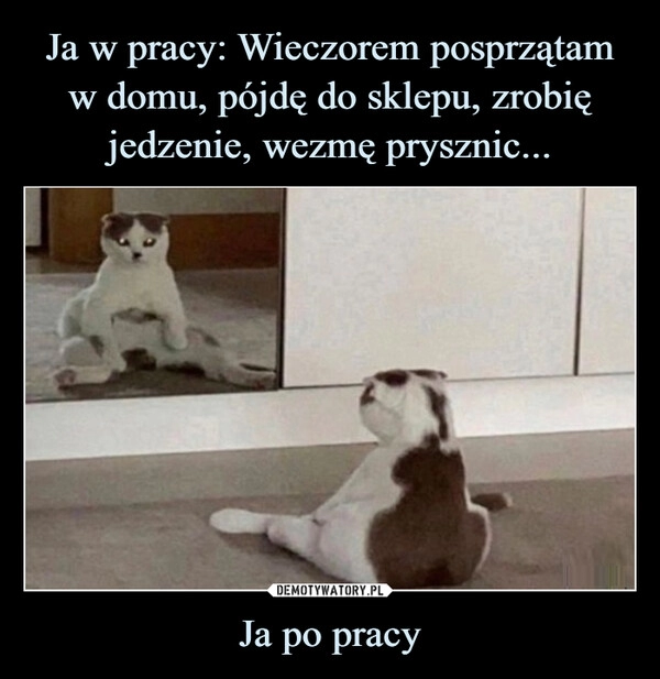 
    Ja w pracy: Wieczorem posprzątam w domu, pójdę do sklepu, zrobię jedzenie, wezmę prysznic... Ja po pracy