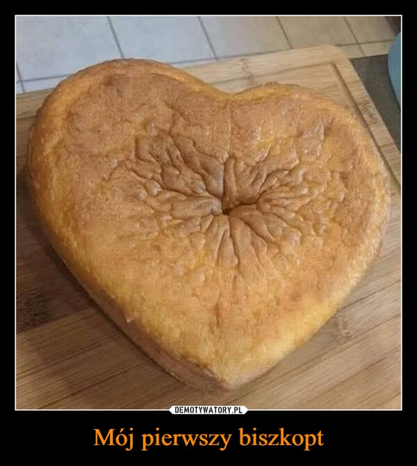 
    Mój pierwszy biszkopt