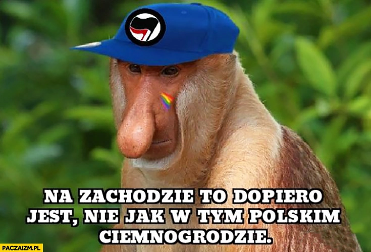 
    Na zachodzie to dopiero jest nie jak w tym polskim ciemnogrodzie typowy Polak nosacz małpa
