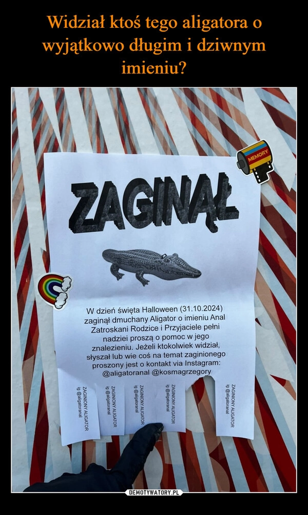 
    Widział ktoś tego aligatora o wyjątkowo długim i dziwnym imieniu?