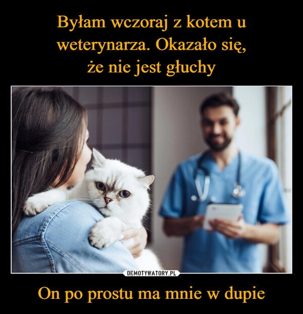 
    Byłam wczoraj z kotem u weterynarza. Okazało się,
że nie jest głuchy On po prostu ma mnie w dupie