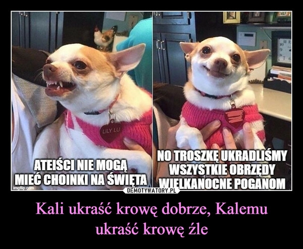 
    Kali ukraść krowę dobrze, Kalemu ukraść krowę źle