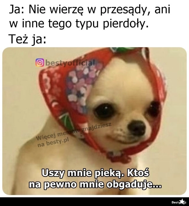 
    Może z jednym małym wyjątkiem 