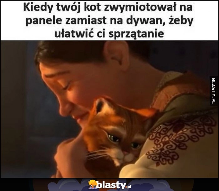 
    Kiedy twój kot zwymiotował na panele zamiast na dywan żeby ułatwić ci sprzątanie