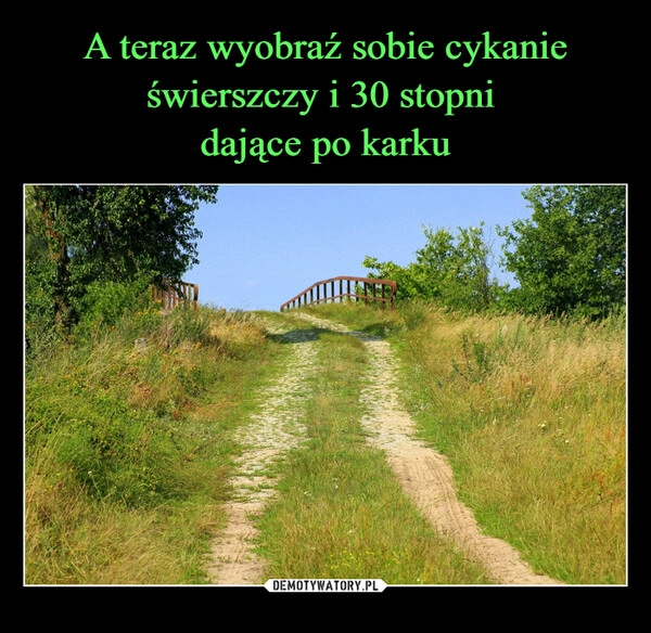 
    A teraz wyobraź sobie cykanie świerszczy i 30 stopni 
dające po karku