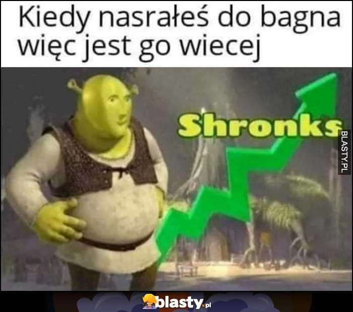 
    Shrek kiedy nasrałeś do bagna więc jest go więcej stonks shronks