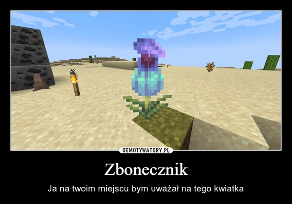 
    Zbonecznik