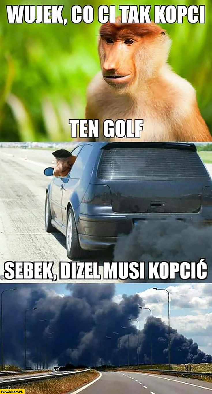 
    Wujek co Ci tak kopci ten Golf? Sebek dizel musi kopcić typowy Polak nosacz małpa