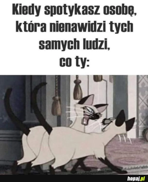 Na tych samych falach