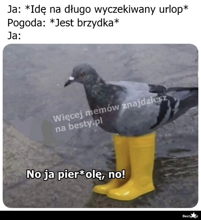 
    A miało być tak pięknie 