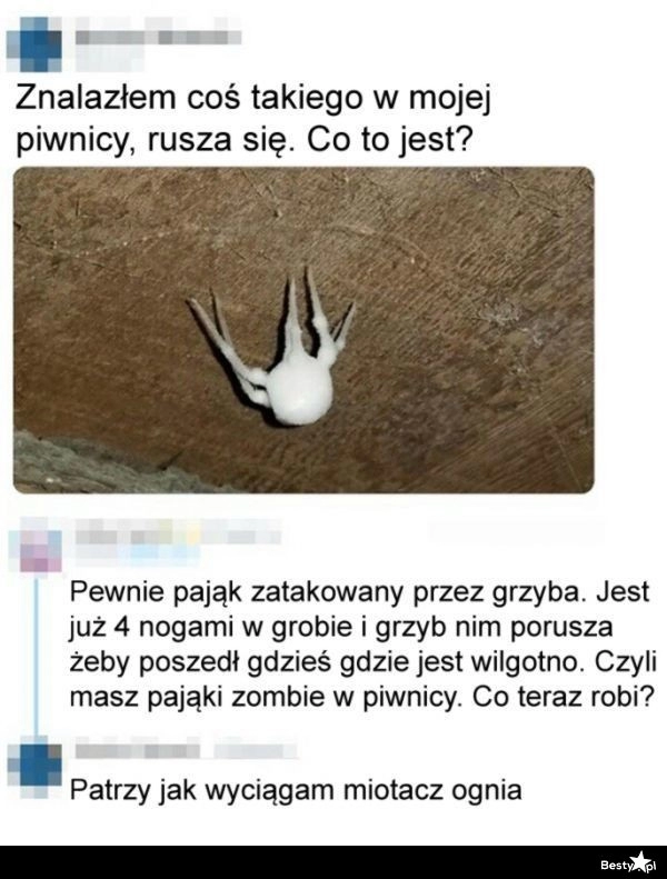 
    Dziwny obiekt 