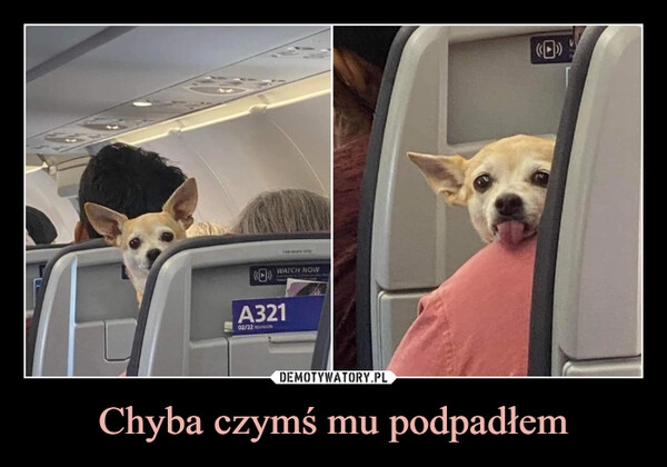 
    Chyba czymś mu podpadłem