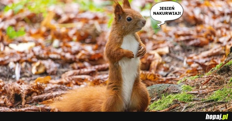 
    Koniec pieprzonego lata!!!