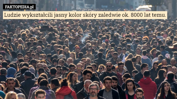 
    Ludzie wykształcili jasny kolor skóry zaledwie ok. 8000 lat temu.