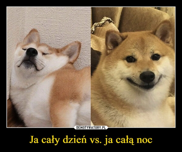 
    Ja cały dzień vs. ja całą noc