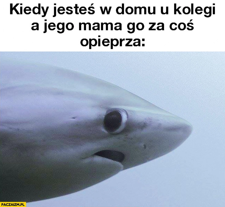 
    Kiedy jesteś w domu u kolegi a jego mama go za coś opieprza