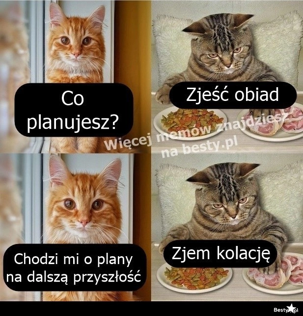 
    Plany na przyszłość 