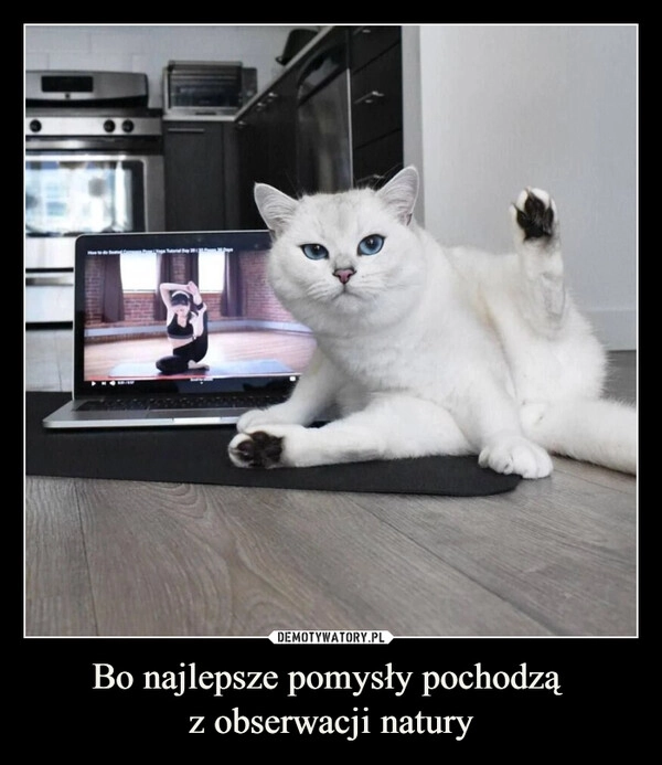
    Bo najlepsze pomysły pochodzą 
z obserwacji natury
