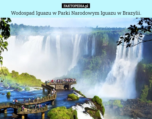 
    Wodospad Iguazu w Parki Narodowym Iguazu w Brazylii.