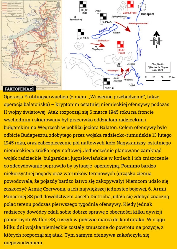 
    Operacja Frühlingserwachen (z niem. „Wiosenne przebudzenie”; także operacja