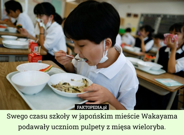 
    Swego czasu szkoły w japońskim mieście Wakayama podawały uczniom pulpety...