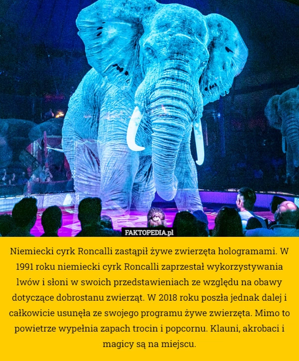 
    Niemiecki cyrk Roncalli zastąpił żywe zwierzęta hologramami. W 1991 roku