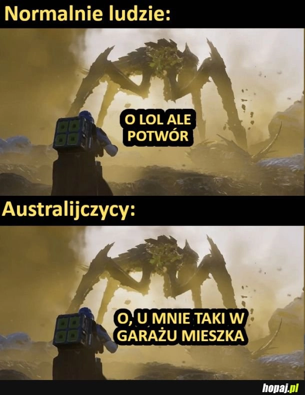 
    Ale potwór