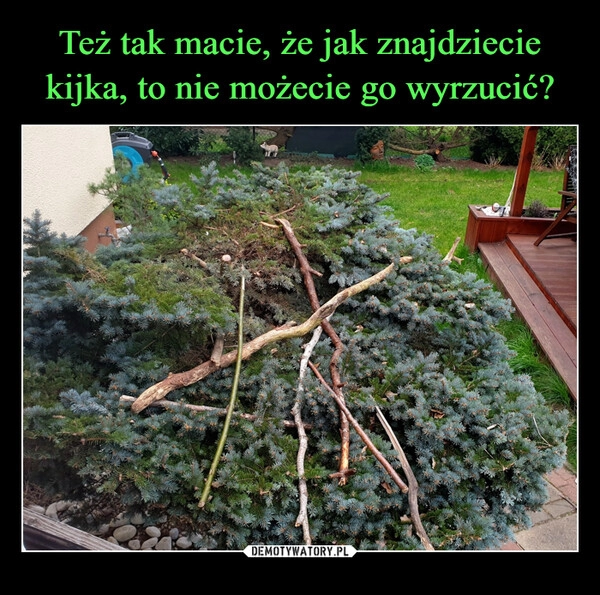 
    Też tak macie, że jak znajdziecie kijka, to nie możecie go wyrzucić?