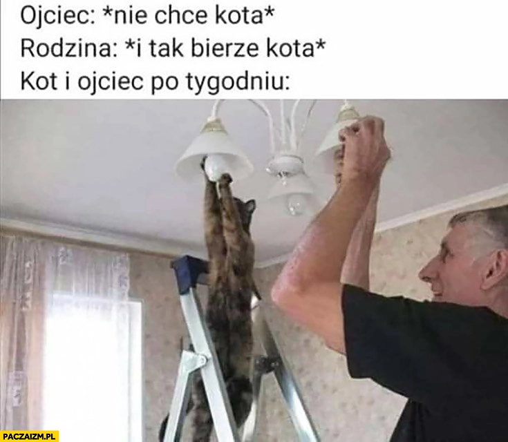 
    Ojciec nie chce kota, rodzina i tak bierze kota, kot i ojciec po tygodniu wkręcają żarówki