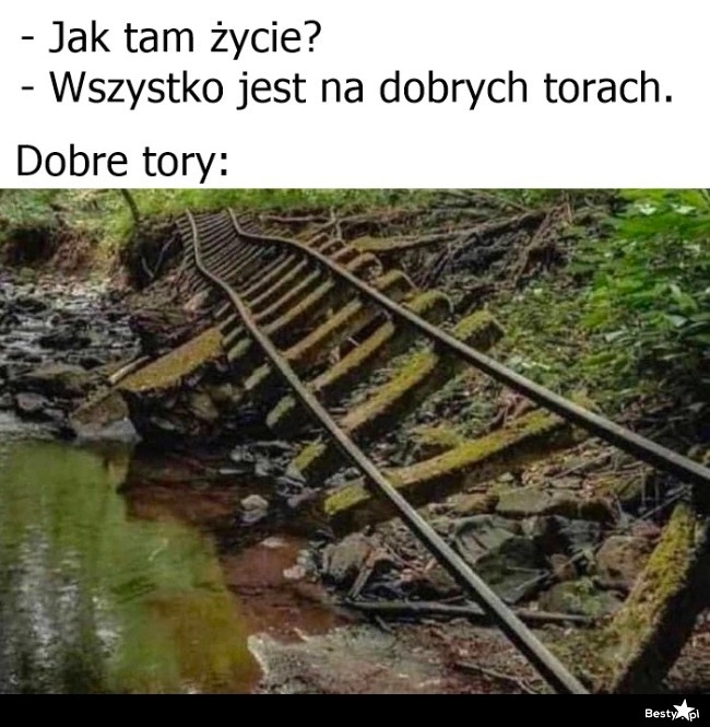 
    Wszystko na dobrych torach 