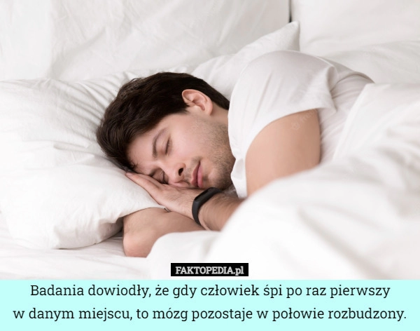 
    
			Badania dowiodły, że gdy człowiek śpi po raz pierwszy
w danym miejscu, to					