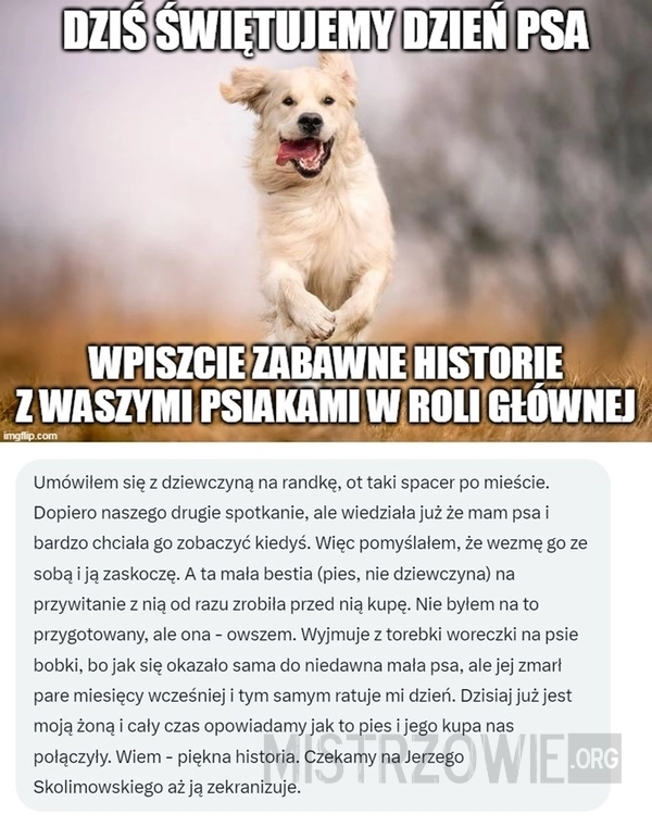 
    Międzynarodowy Dzień Psa