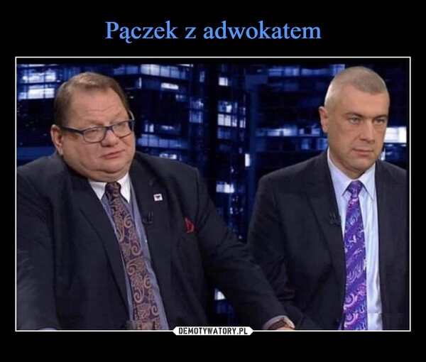 
    Pączek z adwokatem