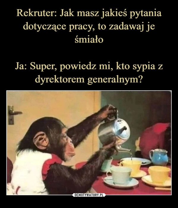 
    Rekruter: Jak masz jakieś pytania dotyczące pracy, to zadawaj je śmiało

Ja: Super, powiedz mi, kto sypia z dyrektorem generalnym?