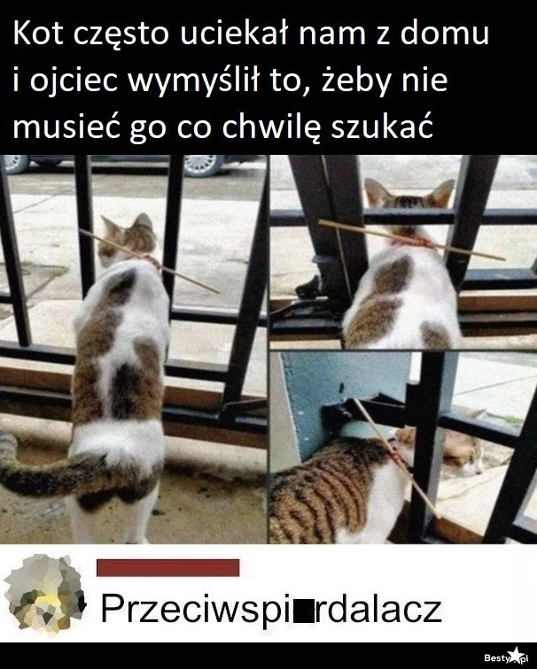 
    Świetna nazwa 