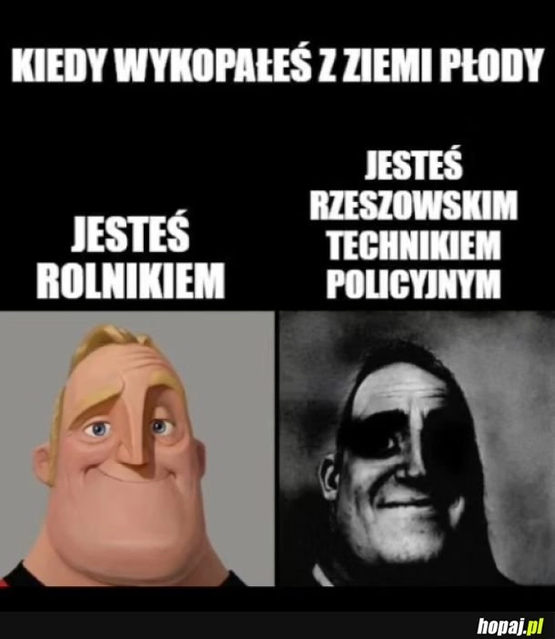 Płody