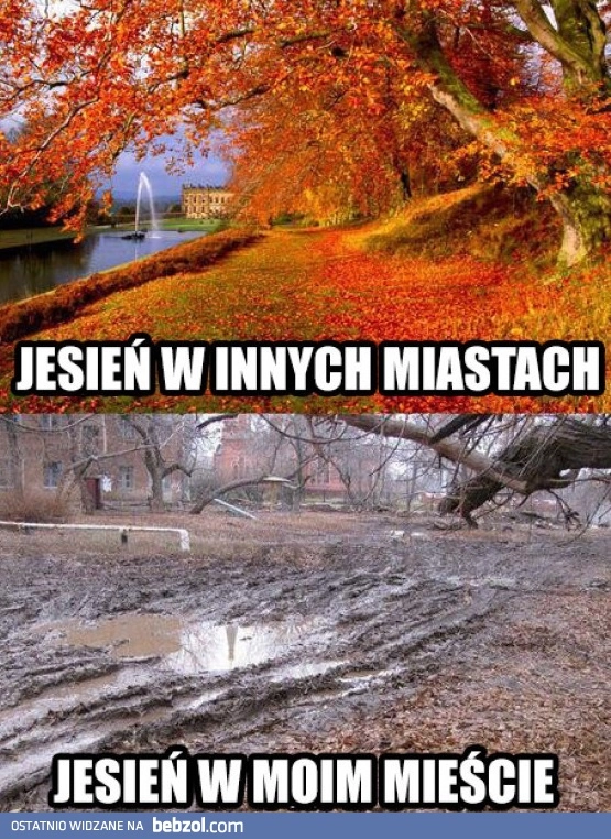 
    Jesień 