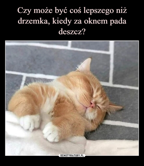 
    Czy może być coś lepszego niż drzemka, kiedy za oknem pada deszcz?