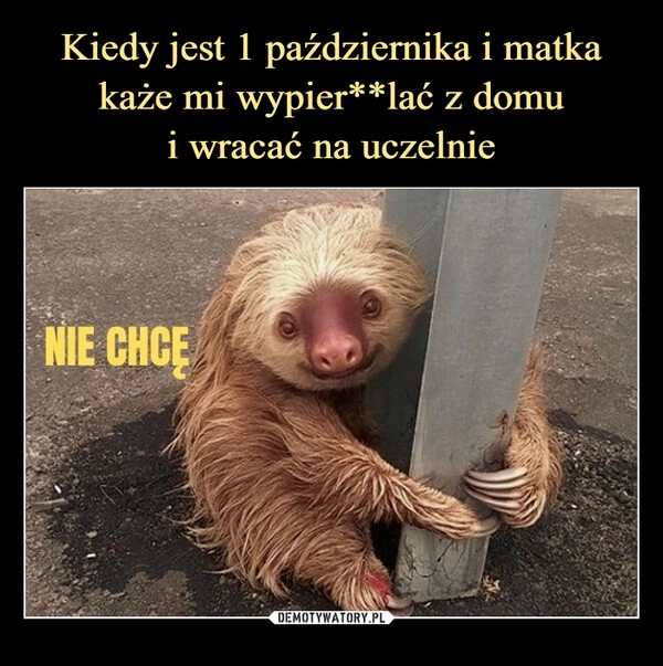 
    Kiedy jest 1 października i matka każe mi wypier**lać z domu
i wracać na uczelnie