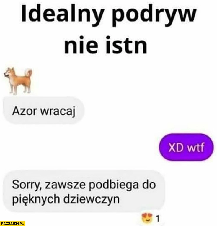 
    Idealny podryw nie istnieje Azor wracaj sorry zawsze podbiega do pięknych dziewczyn