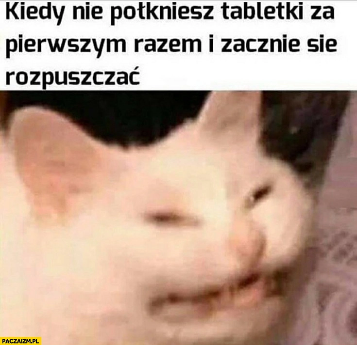 
    Kiedy nie połkniesz tabletki za pierwszym razem i zacznie się rozpuszczać kot krzywi się