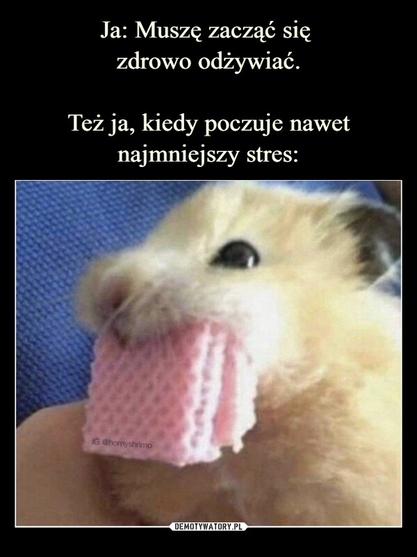 
    Ja: Muszę zacząć się 
zdrowo odżywiać.

Też ja, kiedy poczuje nawet najmniejszy stres: