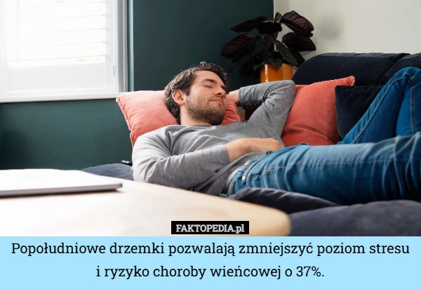 
    Popołudniowe drzemki pozwalają zmniejszyć poziom stresu i ryzyko choroby