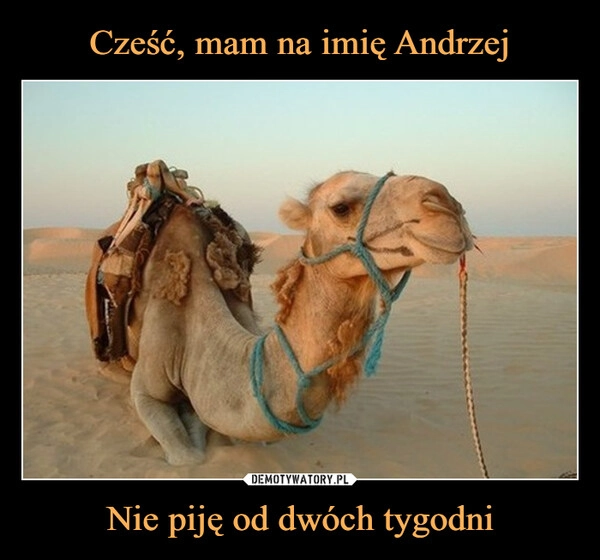 
    Cześć, mam na imię Andrzej Nie piję od dwóch tygodni