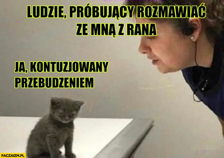 
    Ludzie próbujący rozmawiać ze mną z rana vs ja kontuzjowany obudzeniem kot kotek