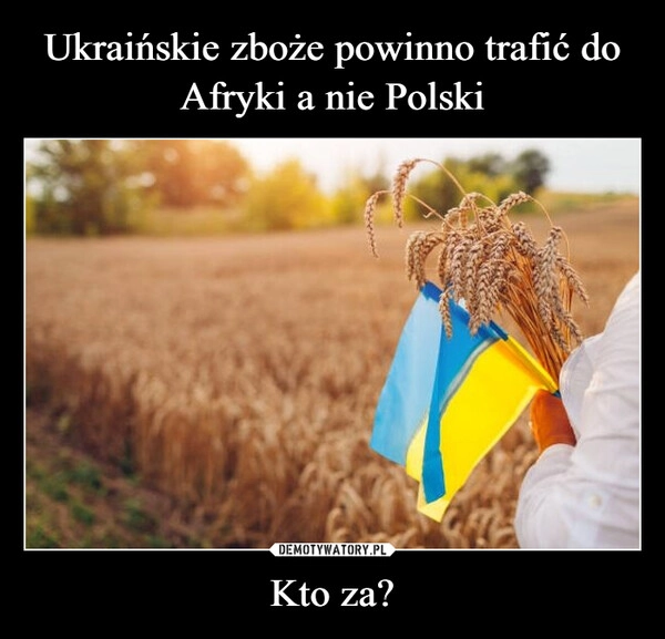 
    Ukraińskie zboże powinno trafić do Afryki a nie Polski Kto za?